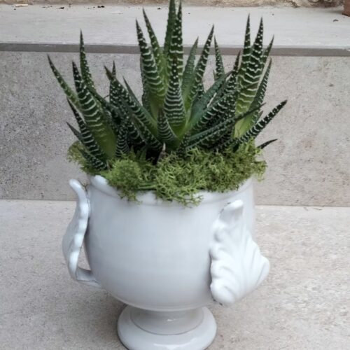 ml pumo piantina2 - ceramica artigianale di Grottaglie